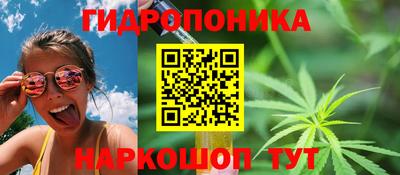 гидра Азнакаево