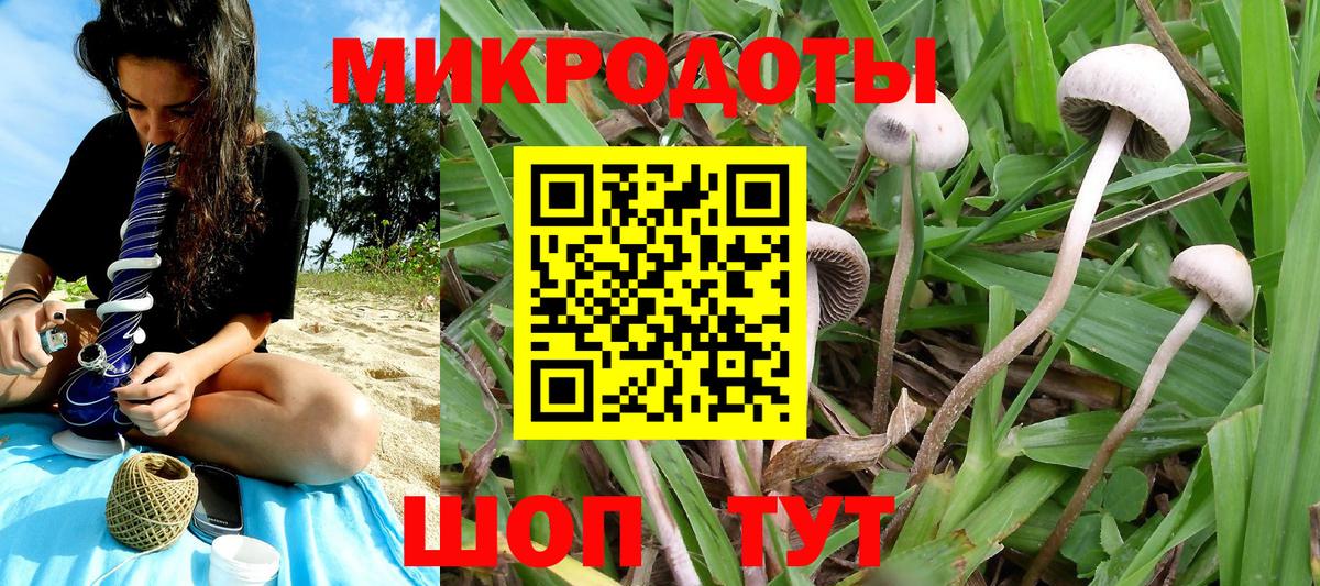 Псилоцибиновые грибы GOLDEN TEACHER  где купить наркоту  Алейск  Вход с VPN 